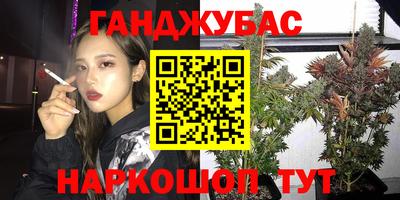 МДПВ Дубна
