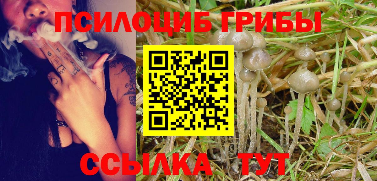 Псилоцибиновые грибы Magic Shrooms  Вход с VPN  даркнет сайт  Междуреченск  Псилоцибиновые грибы Cubensis 